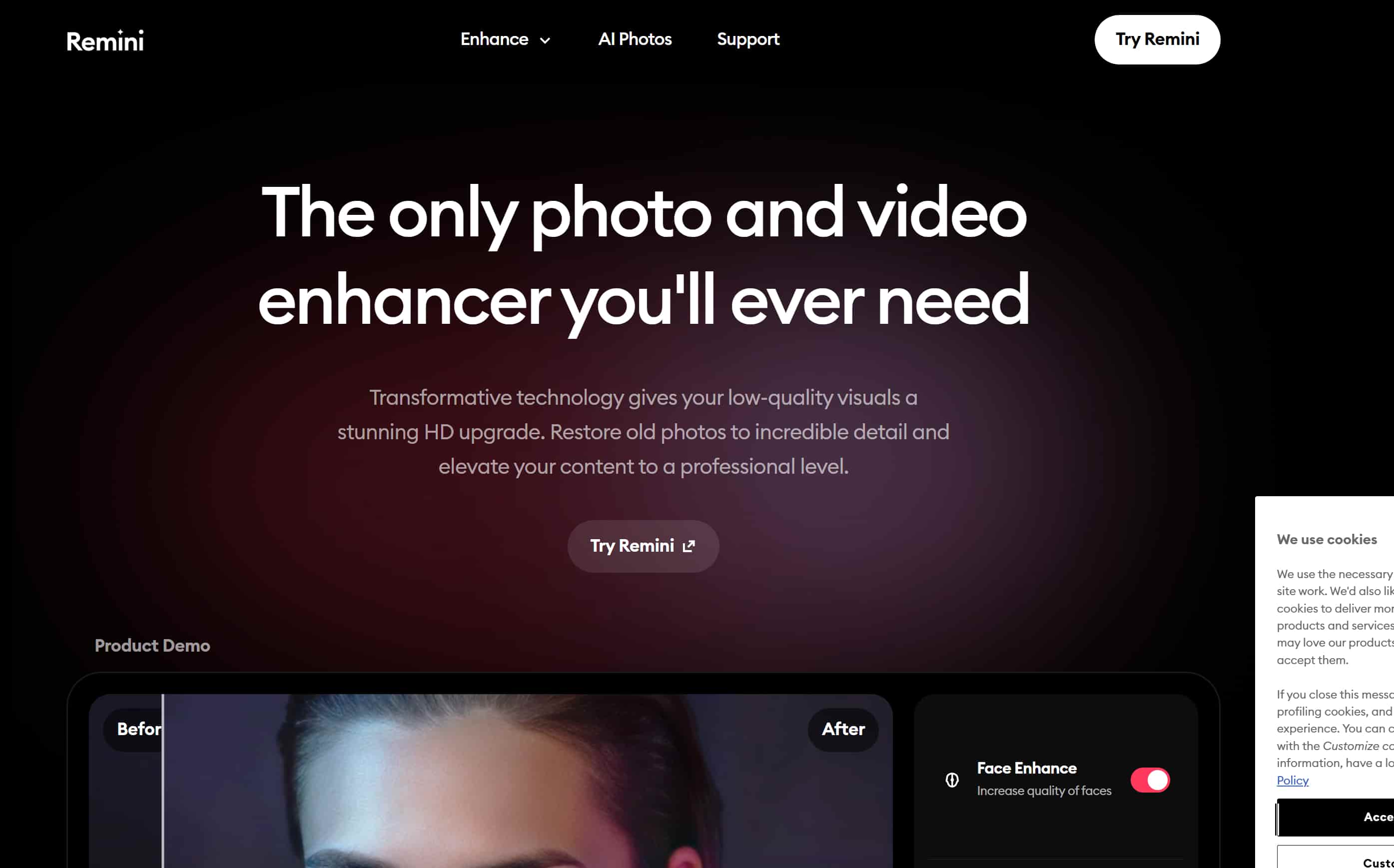 Remini web cover